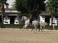 Spanje 2010 311